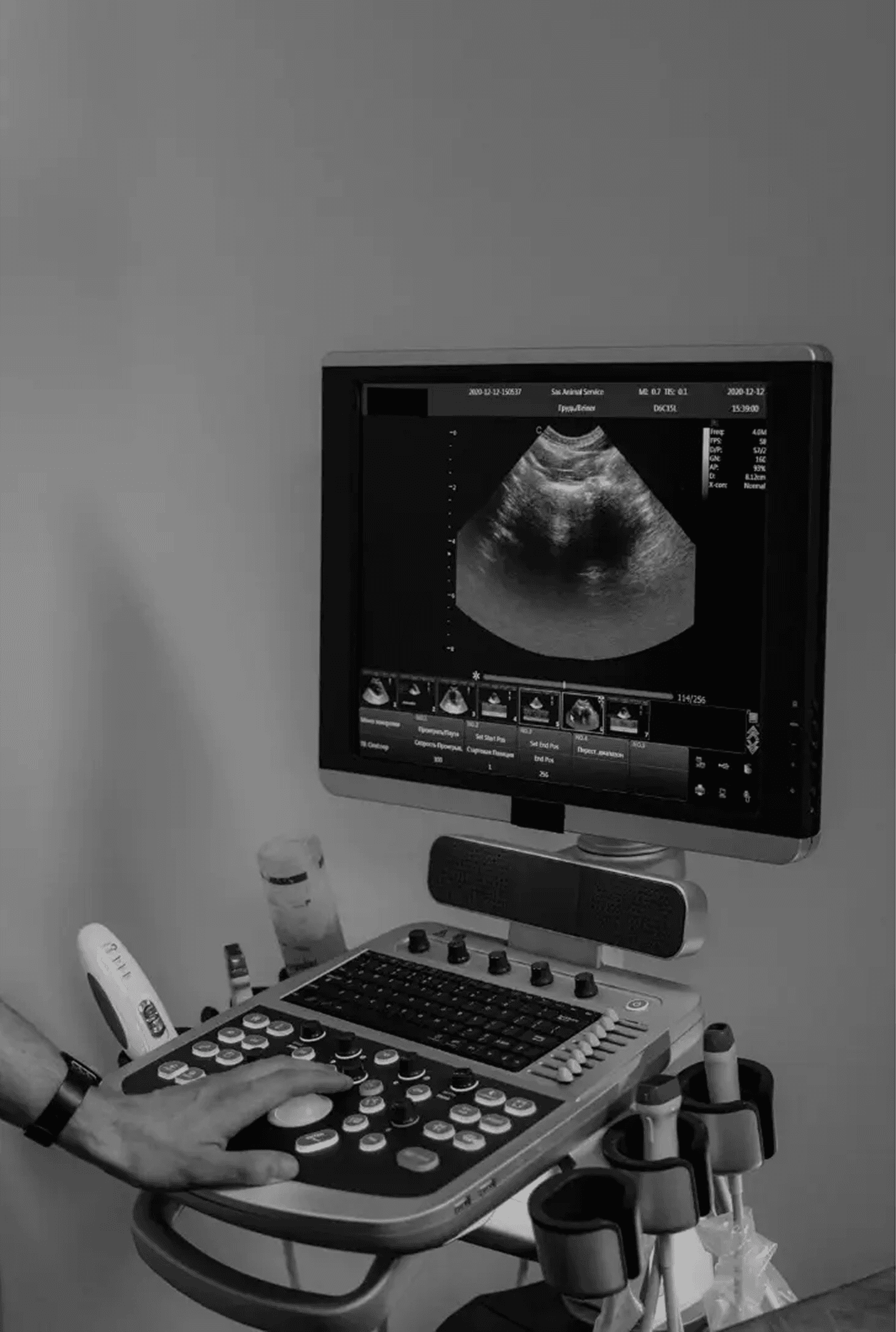 Obstetrícia