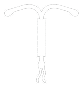 Diu Icon